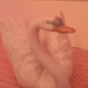 Meet your Posher, Coco